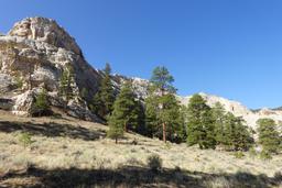 Fish cove [mon sep 1 09:05:40 mdt 2025]